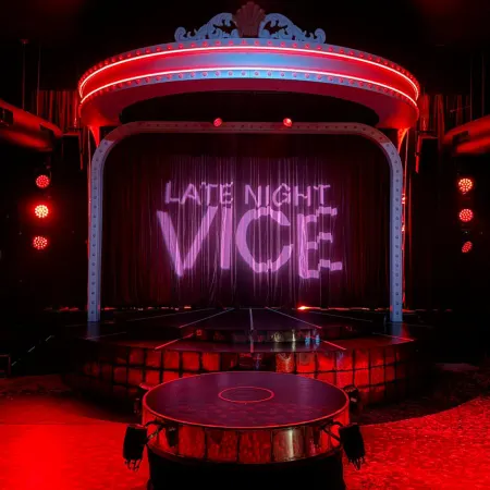 Late Night Vice: Gallery