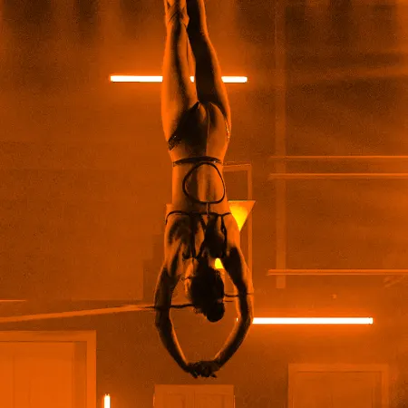 Late Night Vice: Gallery