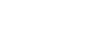late night vice logo